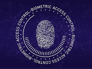 Vimeo Could Have Collected Biometric Data Without Consent